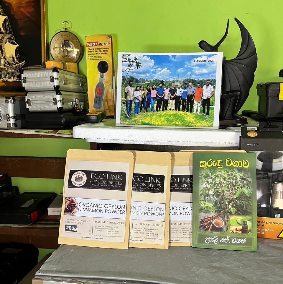 Organic Ceylon Cinnamon Powder eco link ceylon spices